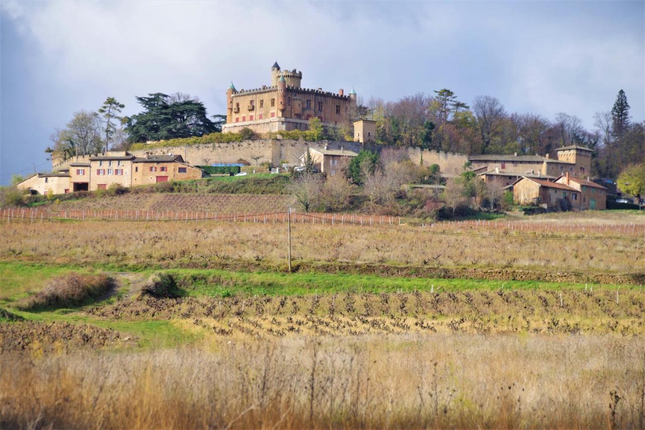 Saint-Julien  Le Vieux Pont Bed & Breakfast エクステリア 写真