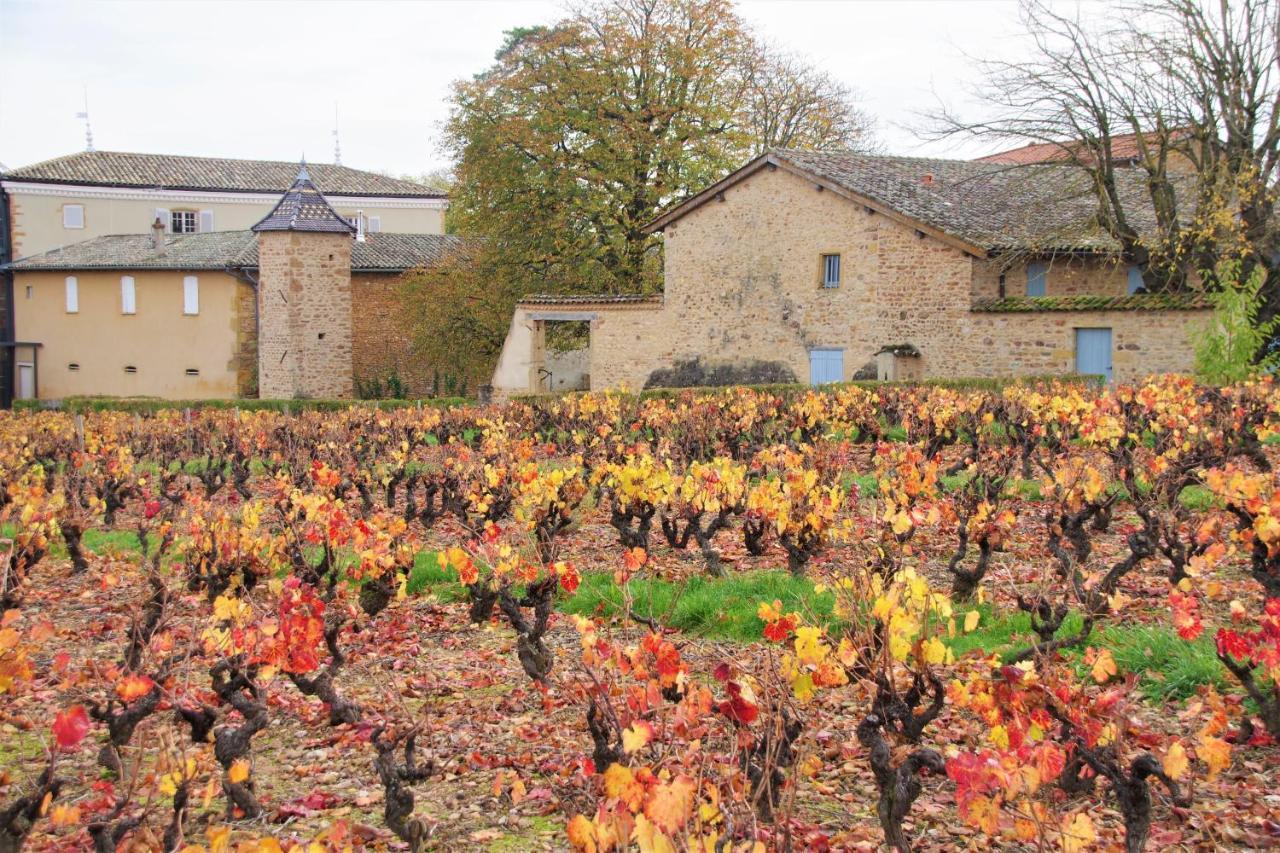 Saint-Julien  Le Vieux Pont Bed & Breakfast エクステリア 写真